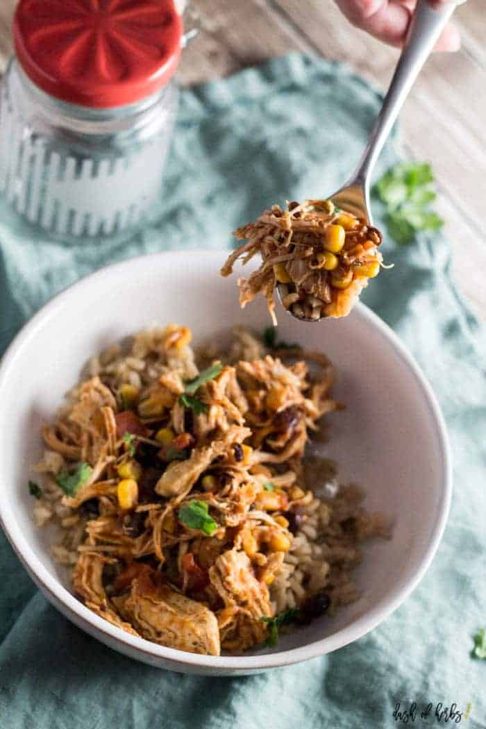 Instant Pot Salsa Chicken