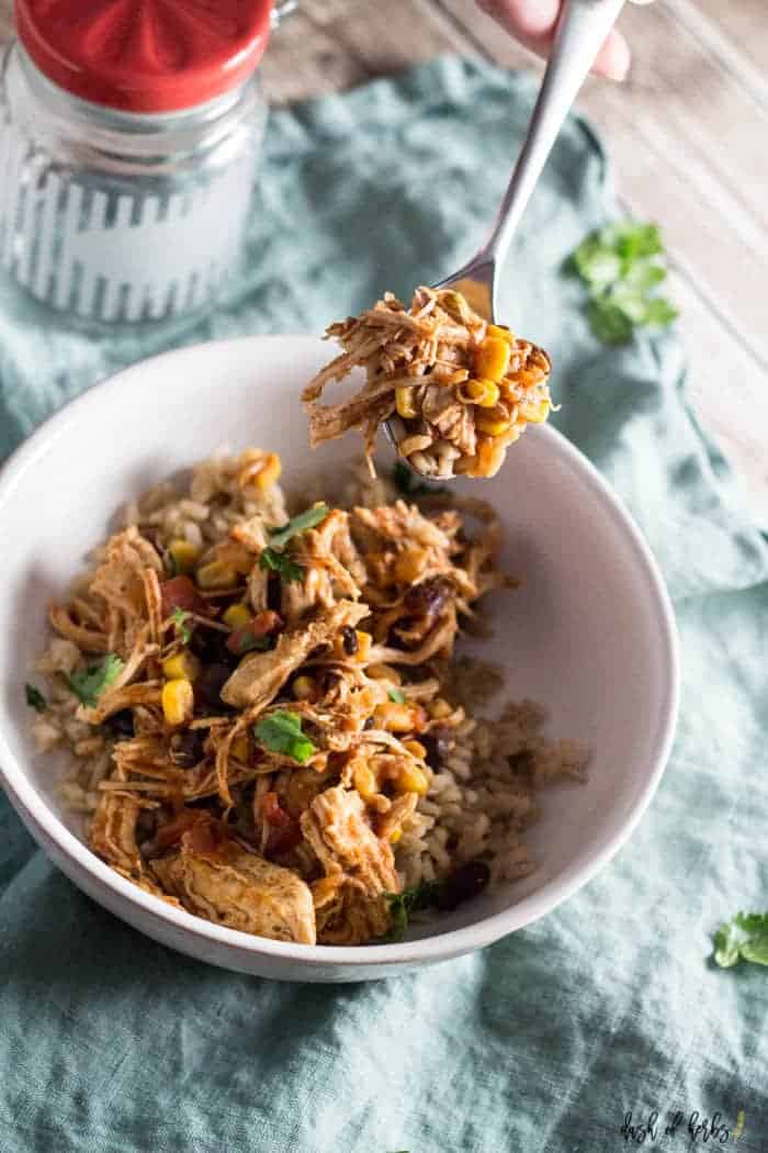 Instant Pot Shredded Salsa Chicken - Evolving Table