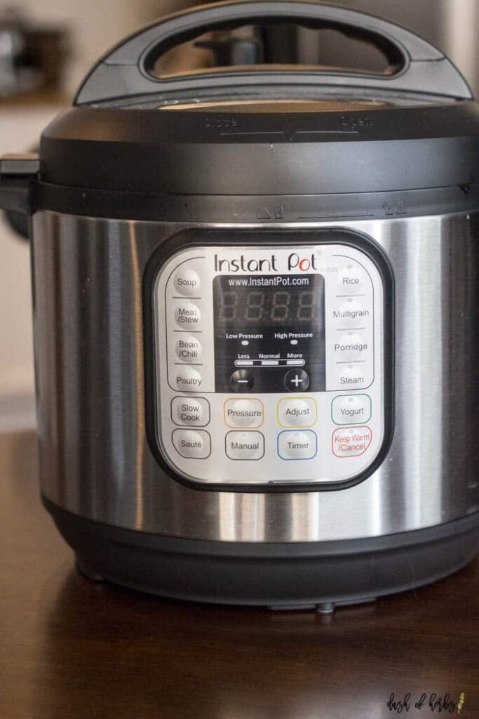 Should You Get An Instant Pot? - Dash of Herbs